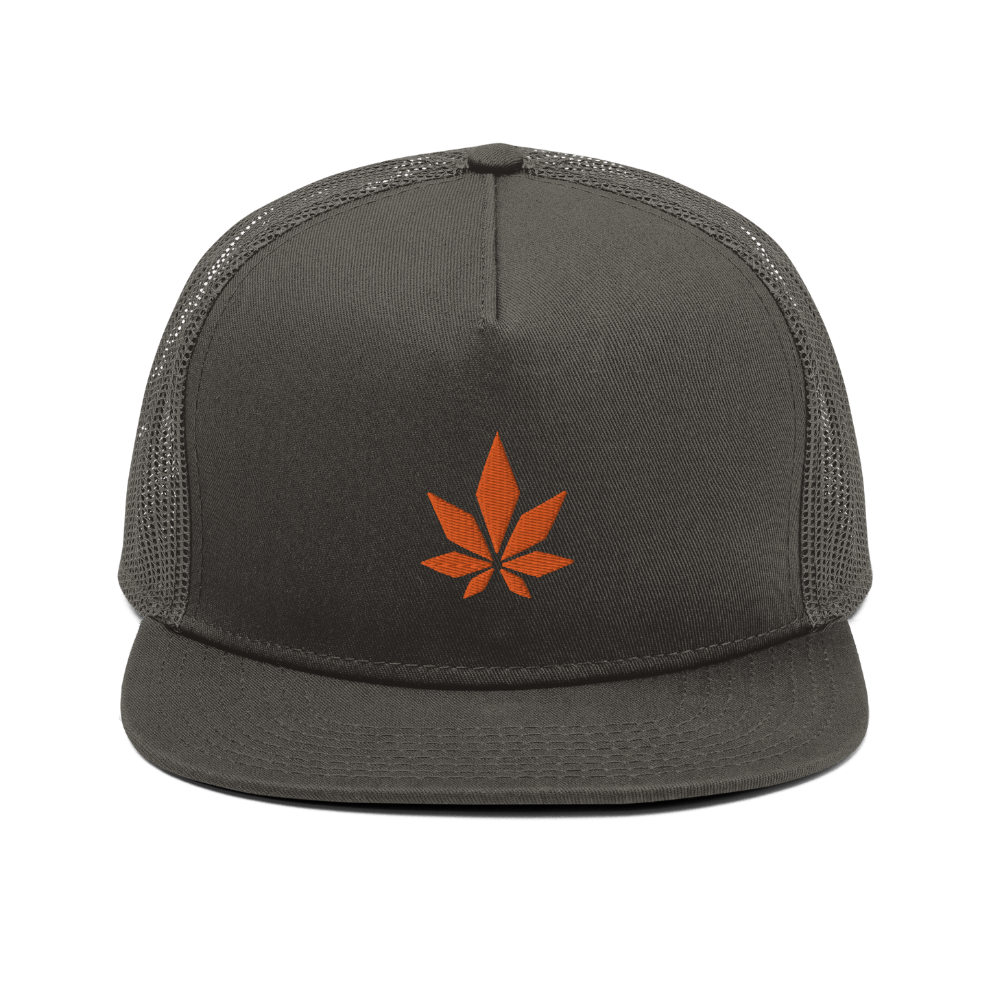 Higher Ground Snapback