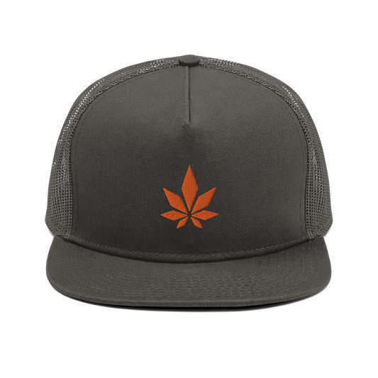 Higher Ground Snapback