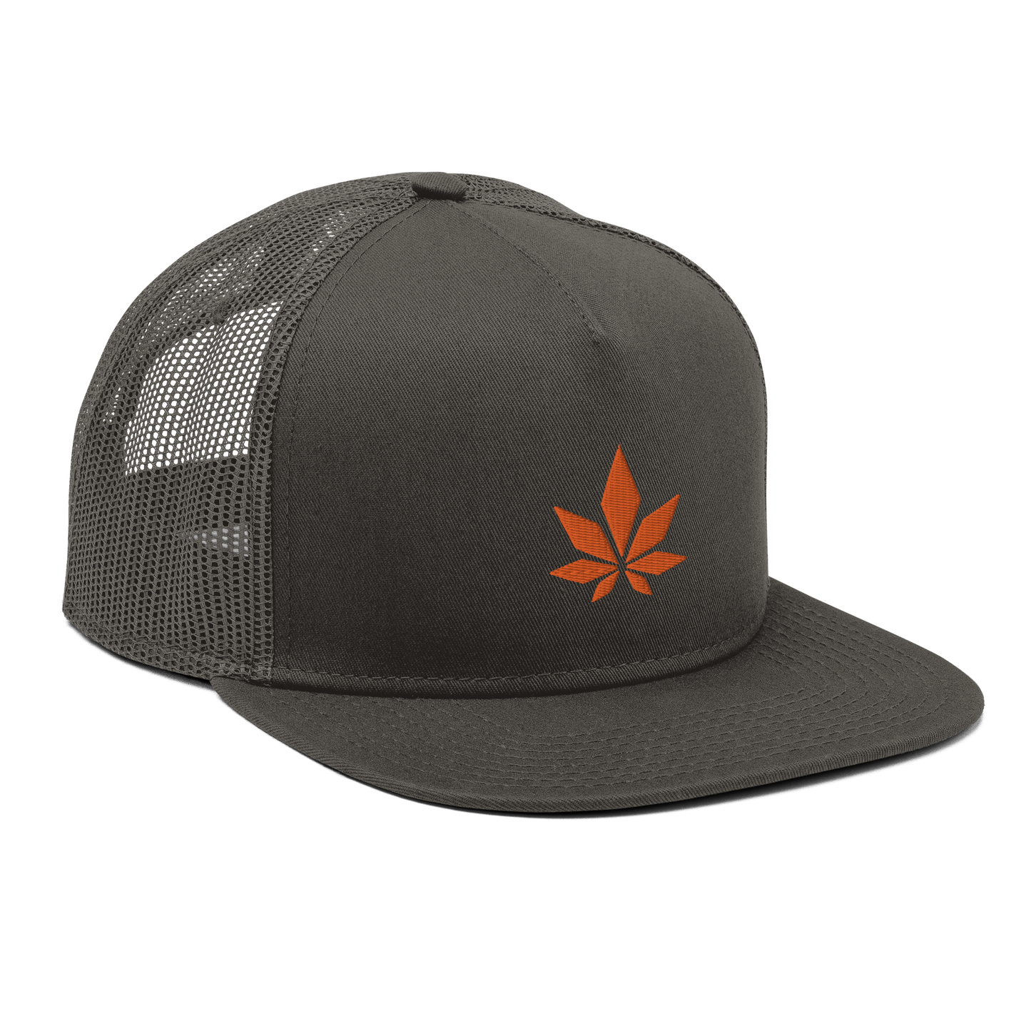 Higher Ground Snapback